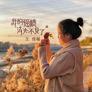 夸克日本电影免费2024年上映
